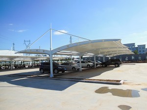 午夜看片网址汽车棚